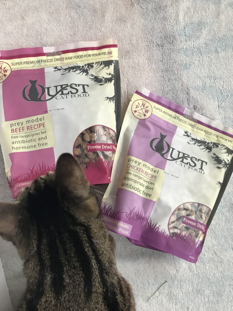 quest cat food