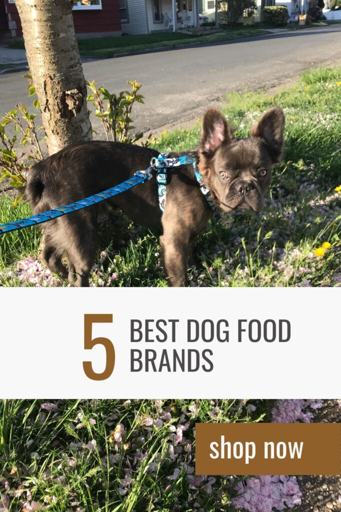 best dog food brands frenchie puppy pin image