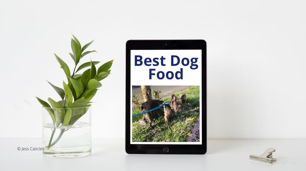 best dog food brands jess caticles featured image