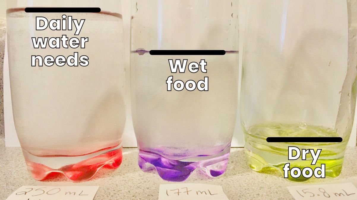 AquaTru review and 3rd party lab test results - Jess Caticles