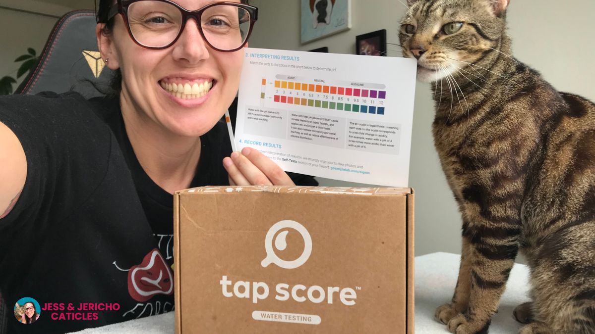 my tap score water testing kit jess and jericho caticles.com