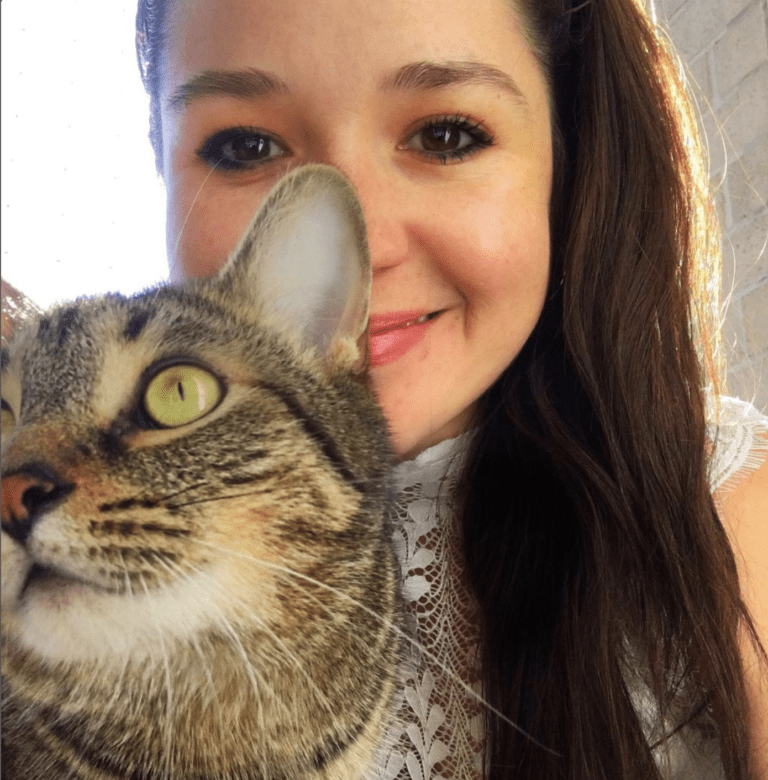 Carb calculator for cat food [dry matter] Jess Caticles