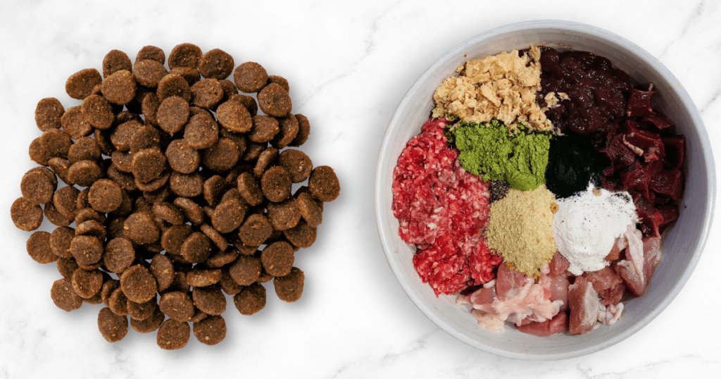 dry pet food and beautiful plate of raw food