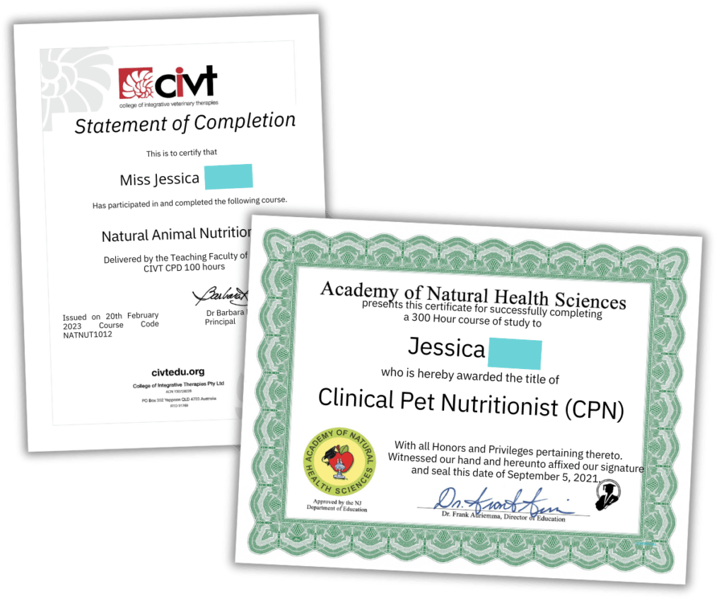 jess caticles pet food certificates civt academy of natural health sciences