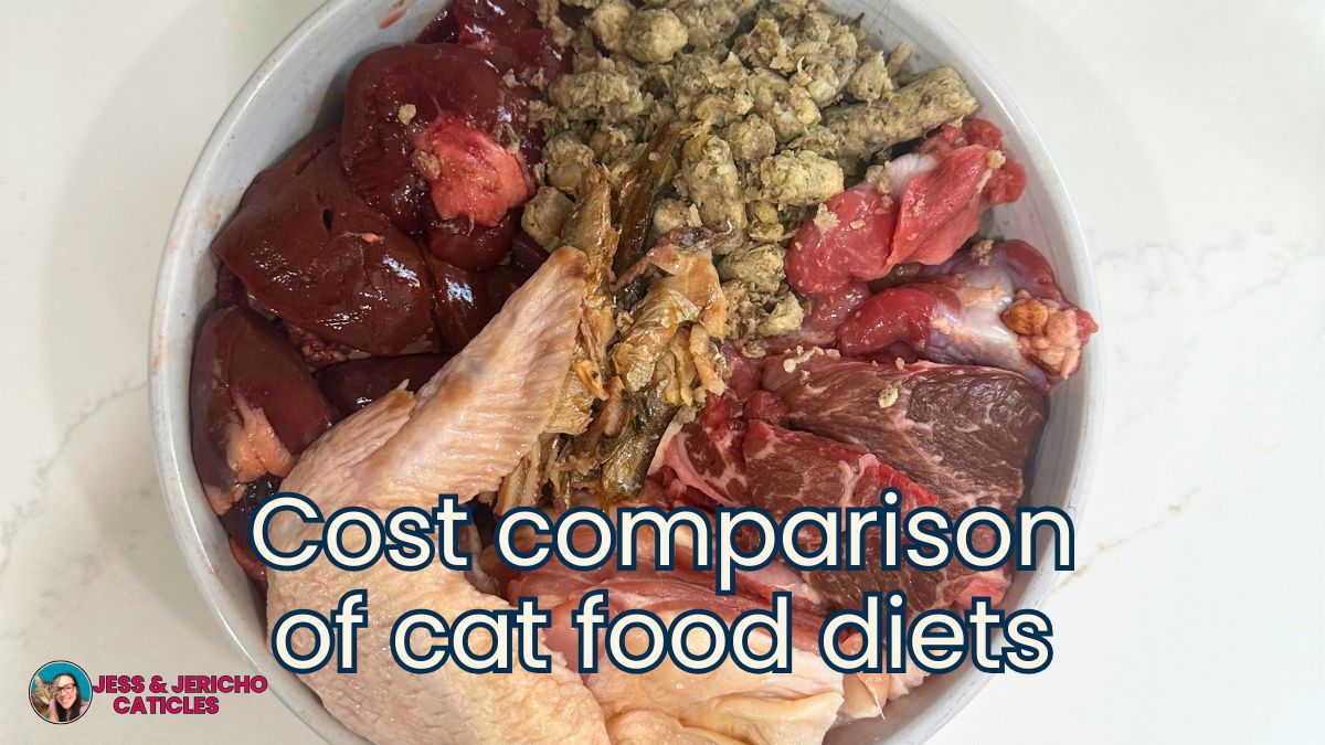 cost of homemade cat food jess and jericho caticles