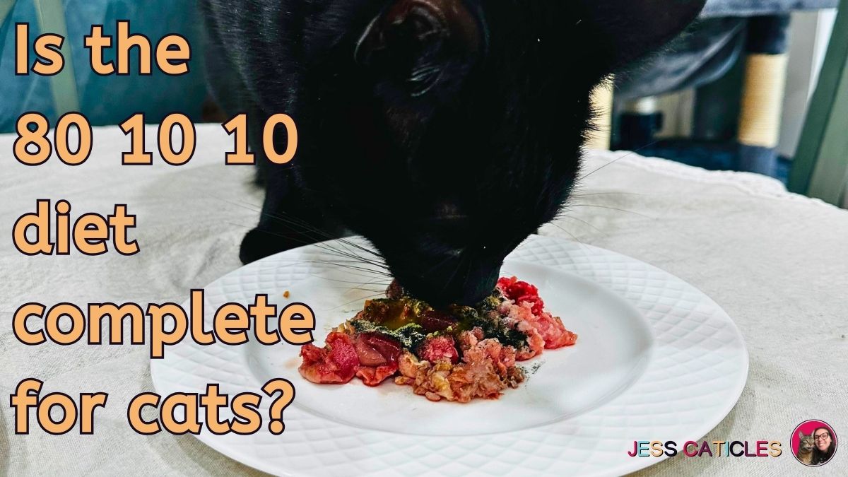 Can cats eat 80 10 10? Is it balanced?