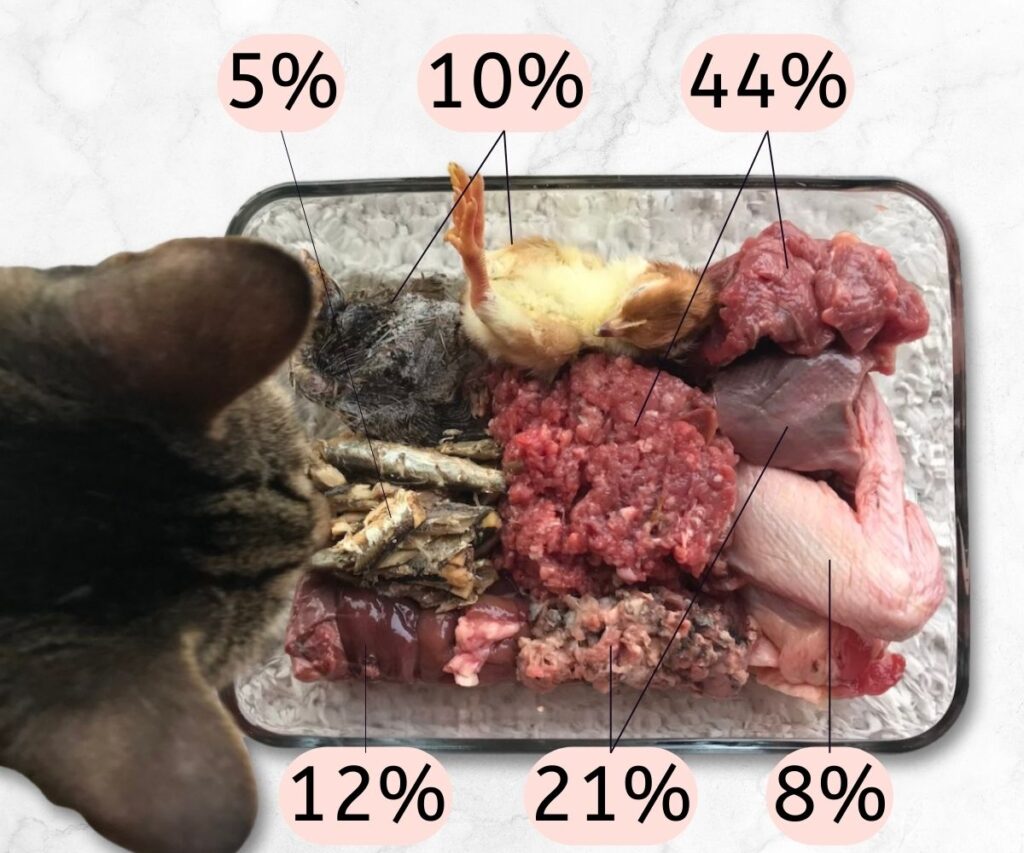 jerichos homemade raw meaty bone diet percent