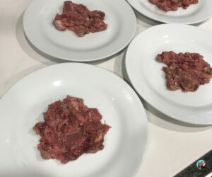 plates of homemade raw cat food