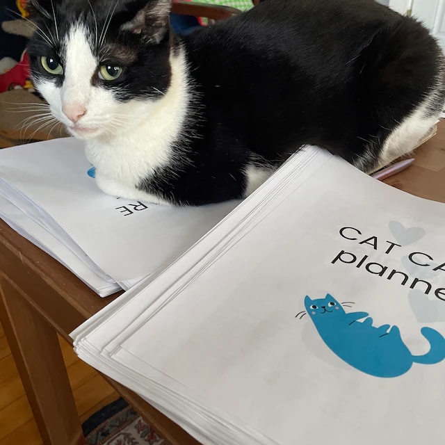 batman cat care binder testimonial