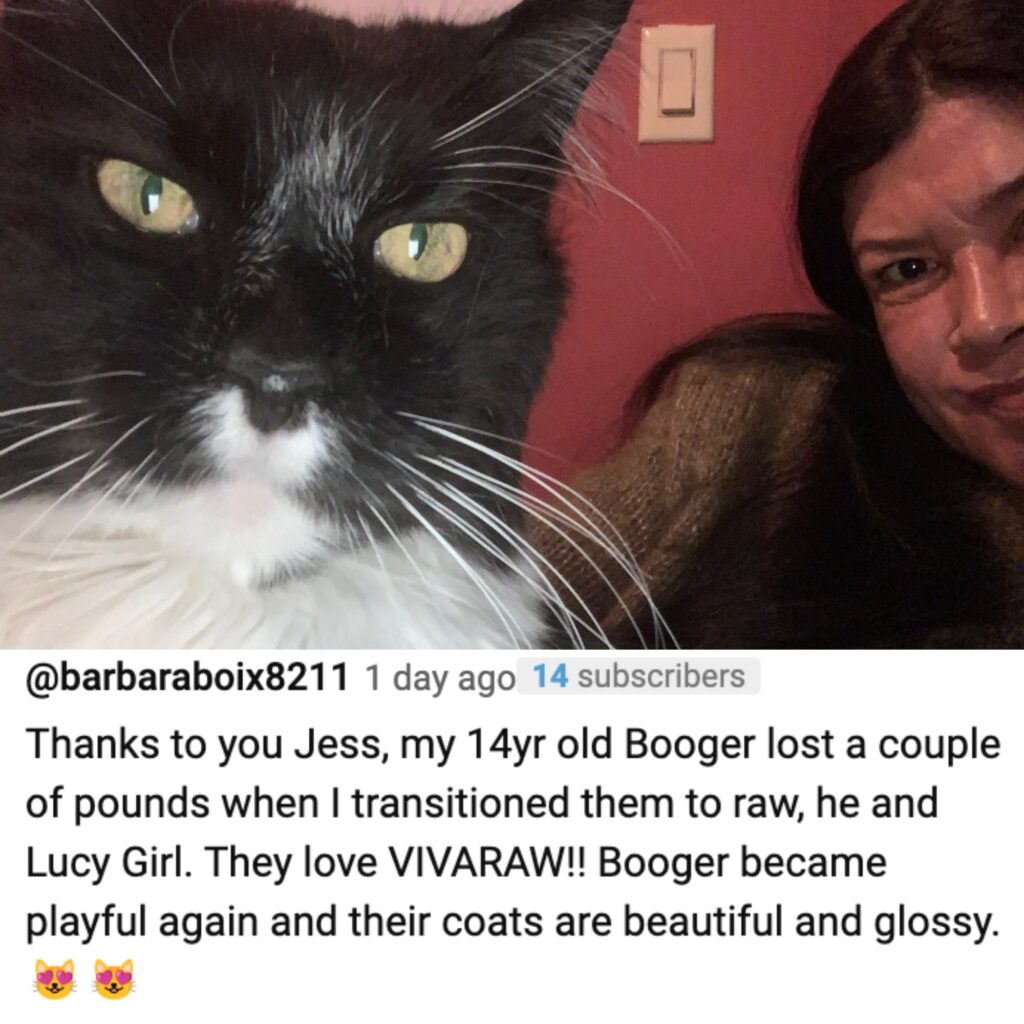 barbara booger lucy switch to raw testimonial "Thanks to you Jess, my 14 yr old Booger lost a couple of pounds when I transitioned them to raw, he and Lucy Girl. They love VIVARAW!! Booger became playful again and their coats are beautiful and glossy."
