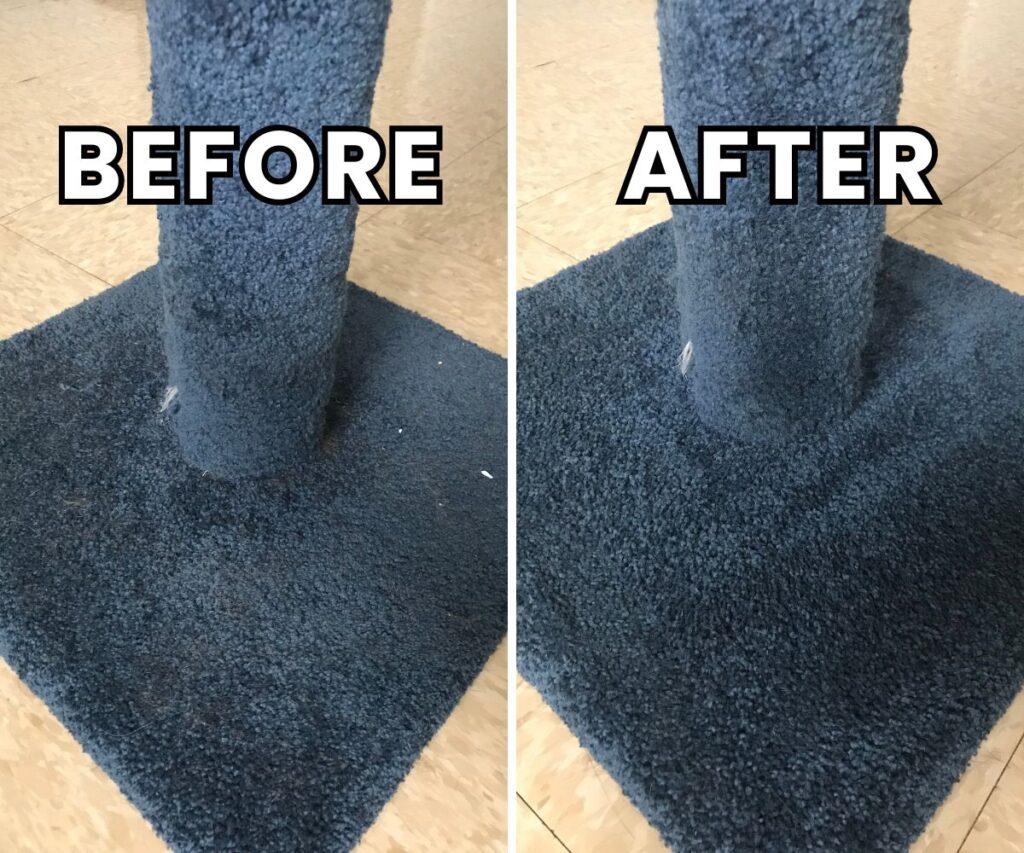 before and after cleaning carpet cat scratcher with lubluelu vacuum