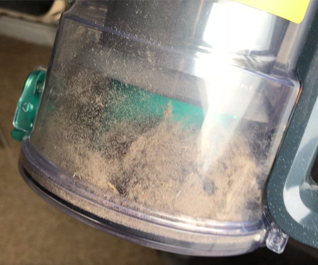 dust and hair from cleaning cat condo