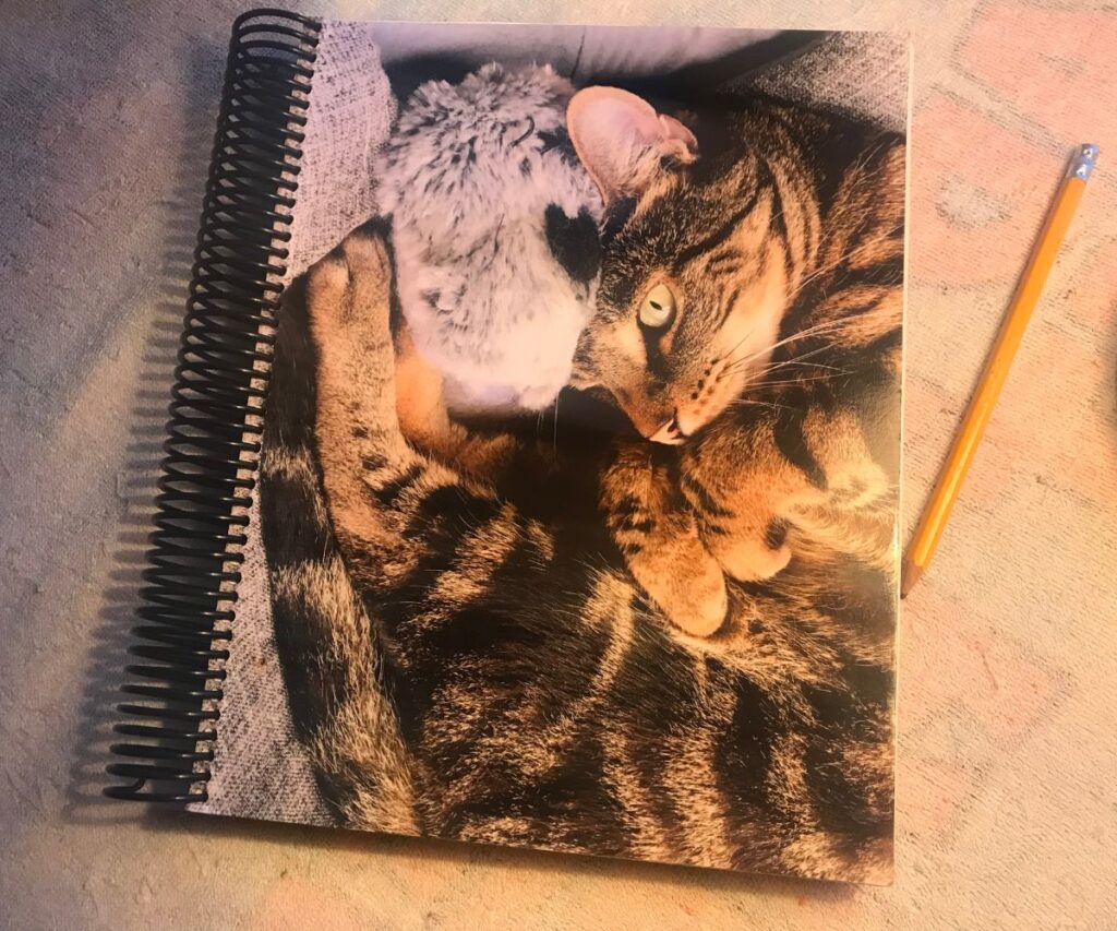 jericho's journal original notebook jess caticles