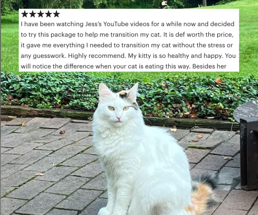 diane cat is happy and healthy eating this way