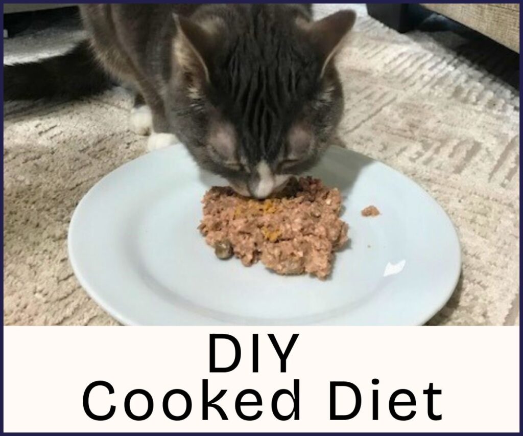 how to make homemade cooked cat food jess caticles