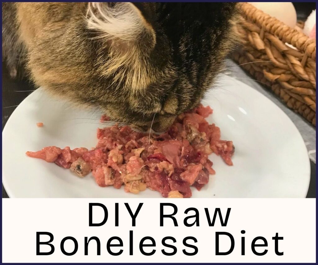 how to raw feed your cat boneless recipes jess caticles