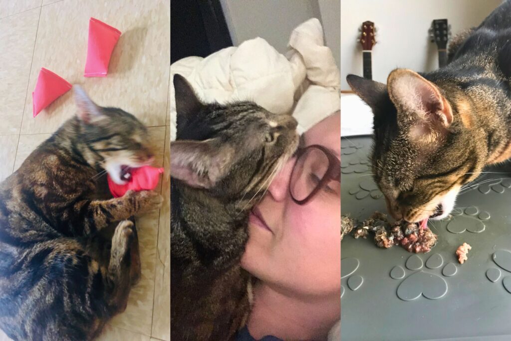 jericho loving life collage