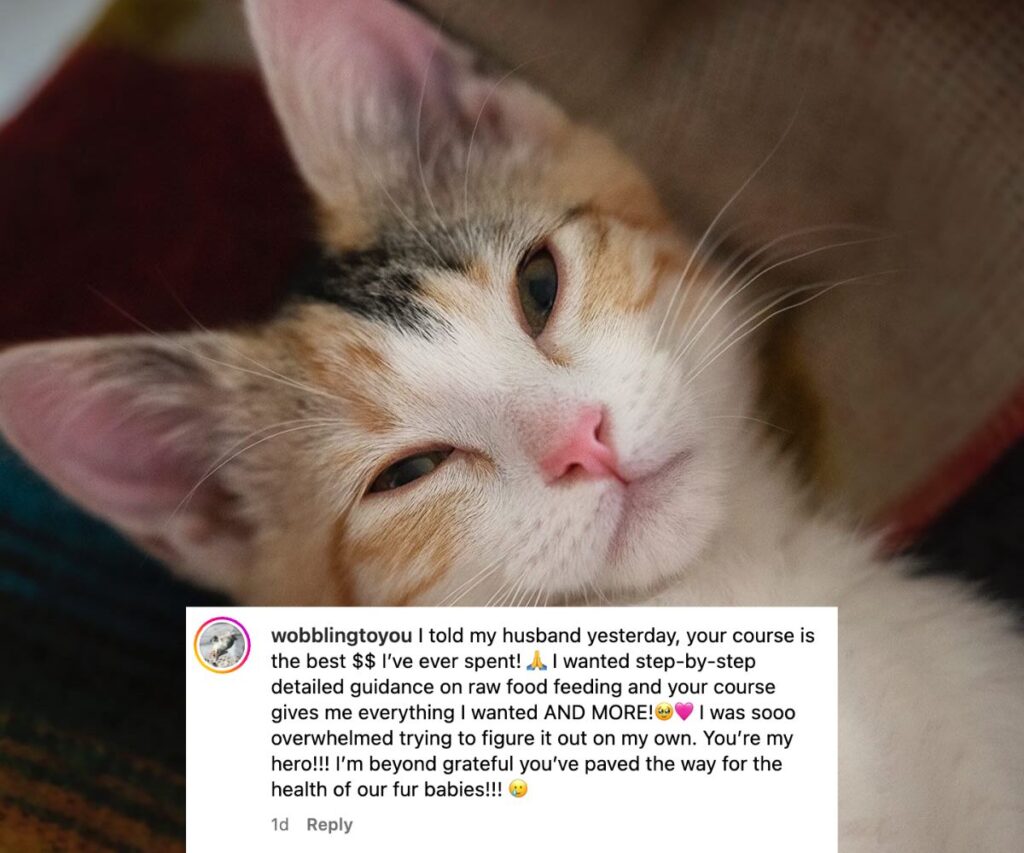 sparrow wobblingtoyou ig raw feedingtestimonial
