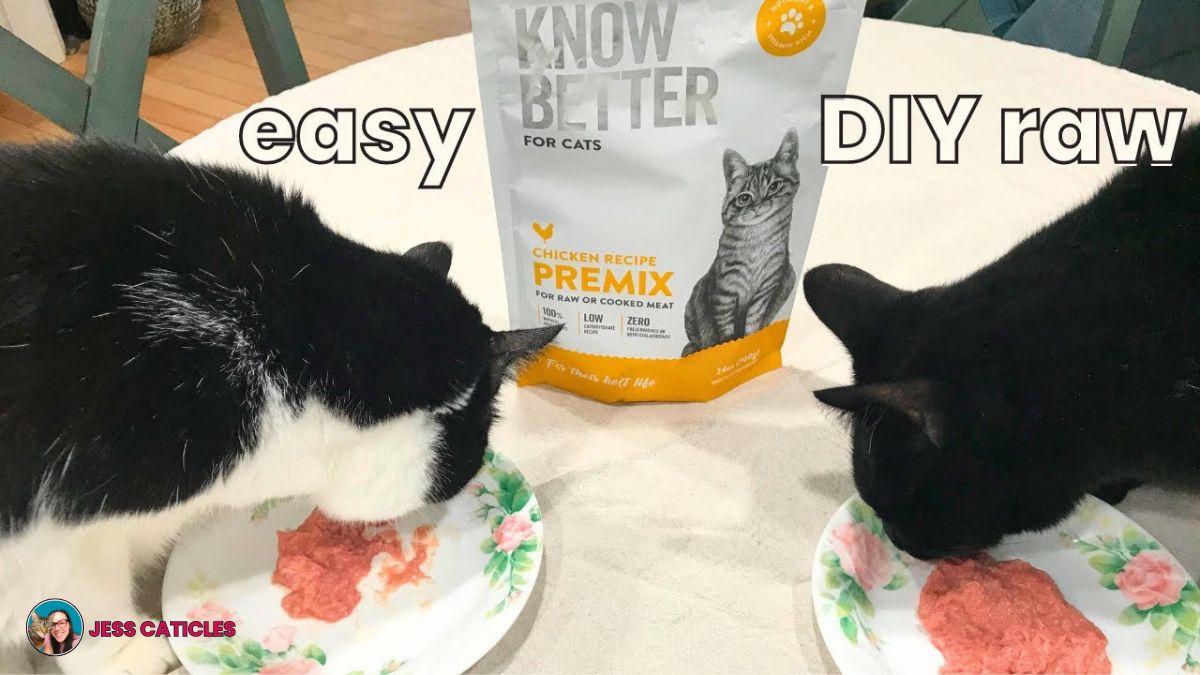 Best raw cat food premix for indoor cats