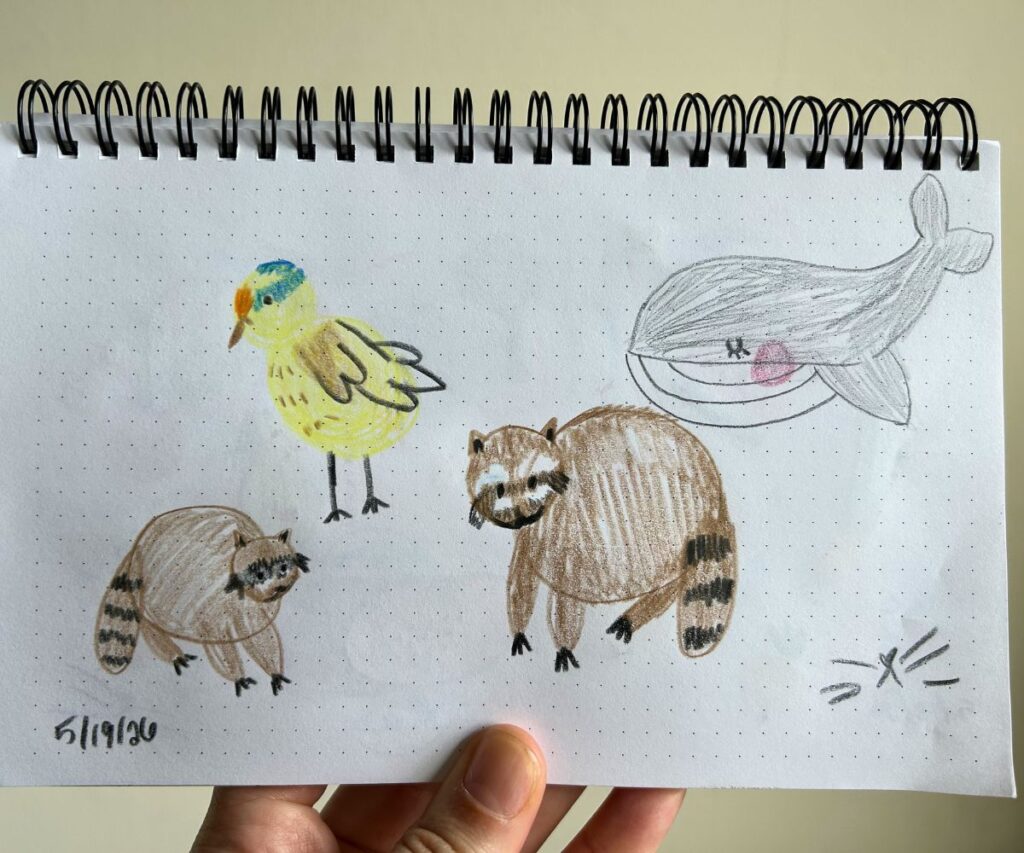 animals colored pencil drawing caticles.com