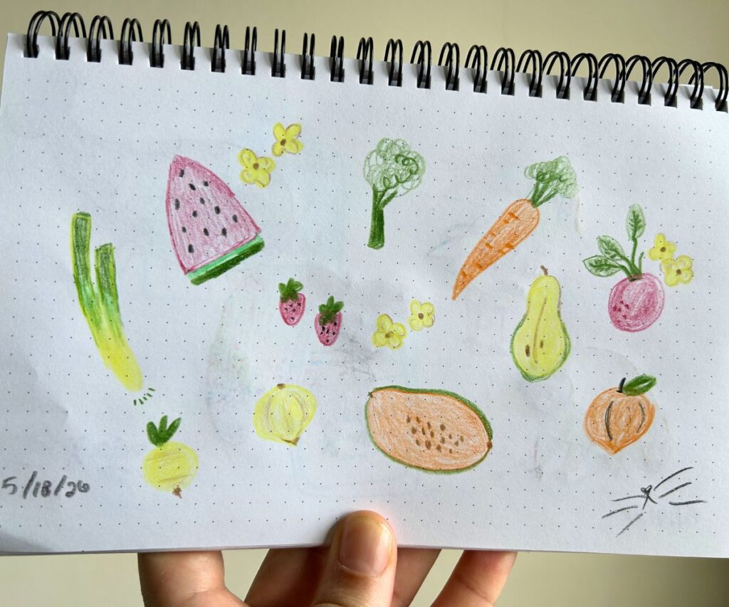 fruits and veggies colored pencil drawing caticles.com