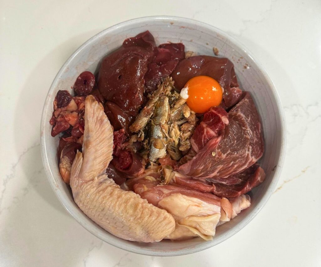 diy raw cat food diet plan bones recipe jess caticles