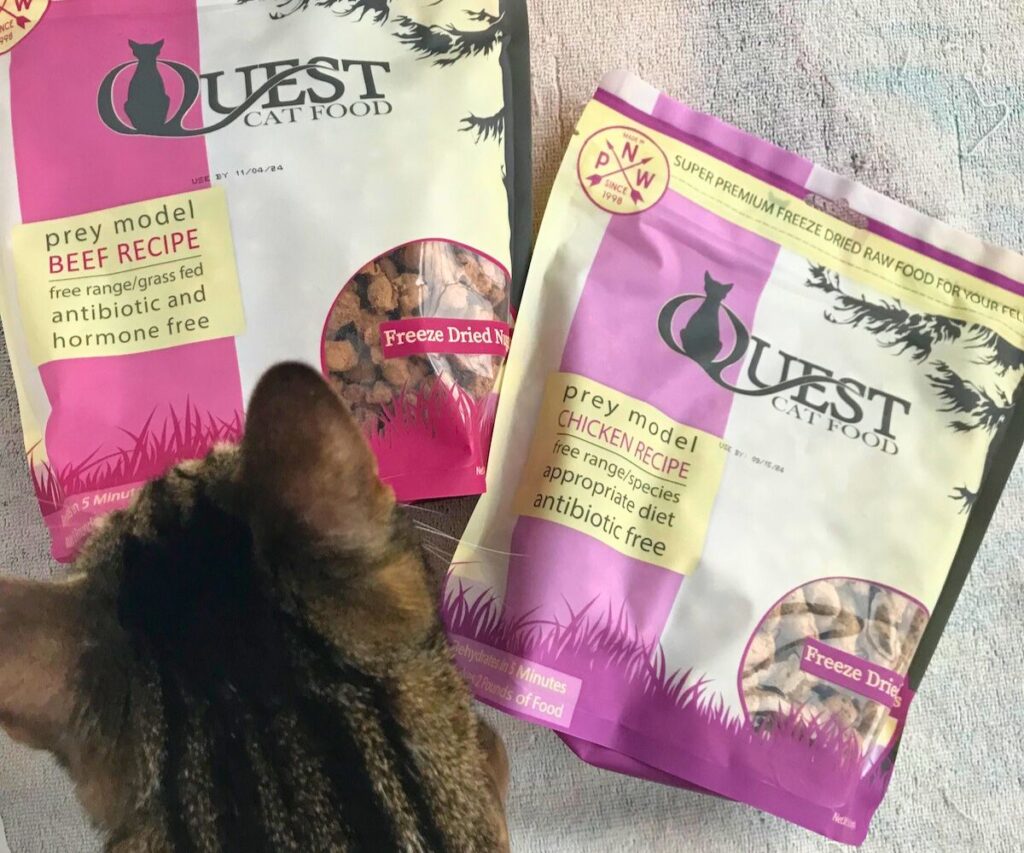 quest freeze dried raw cat food jess caticles