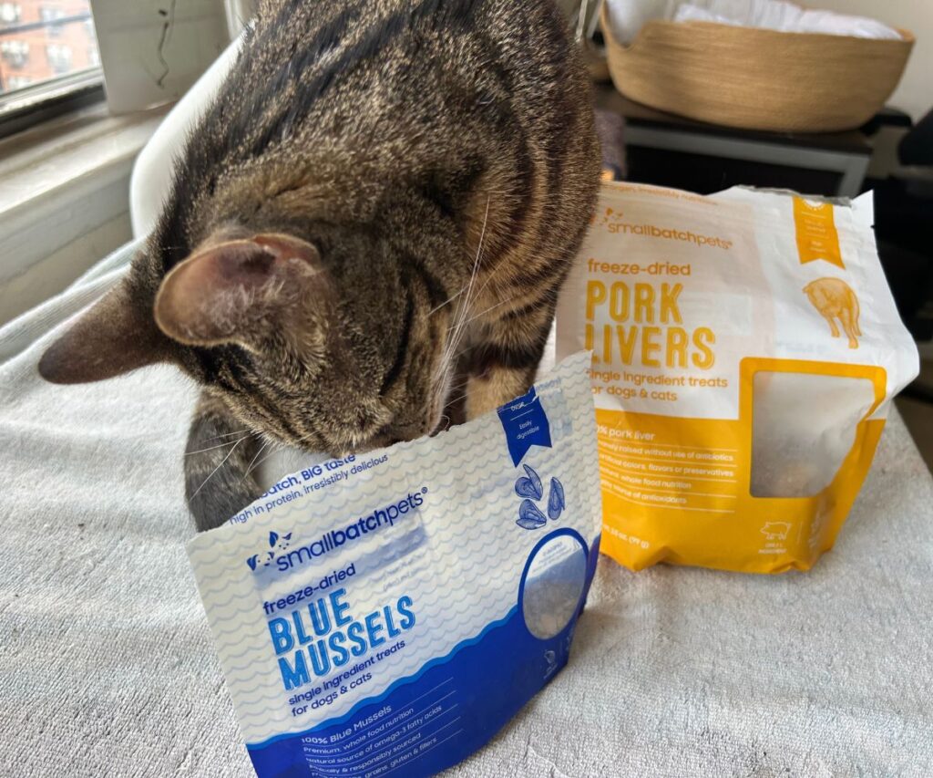 smallbatch freeze dried raw cat treats jess caticles