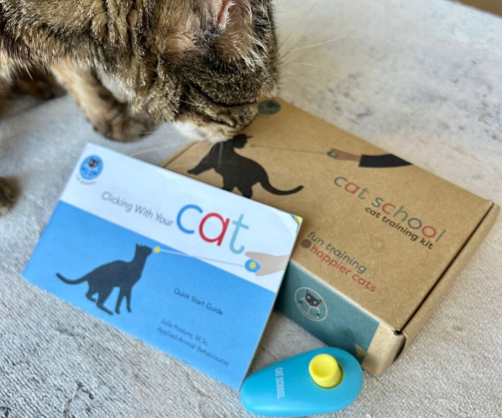clicker training kit for cats cat school jess caticles