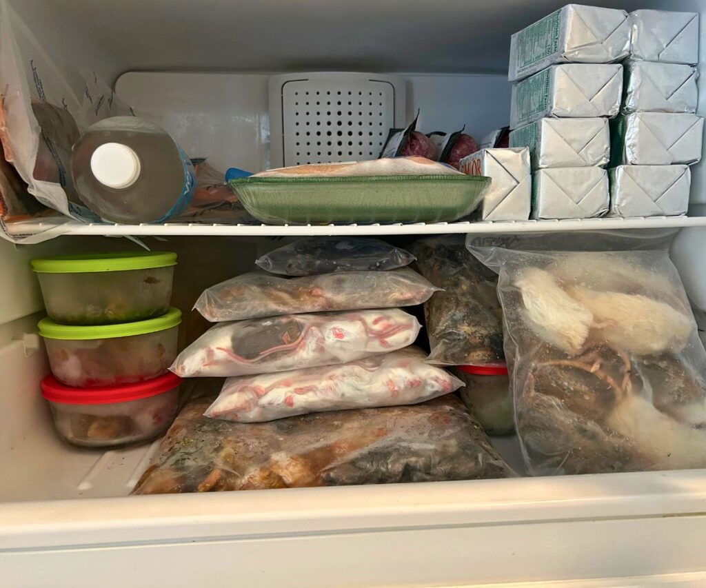 freezer restock whole prey and raw cat food jess caticles
