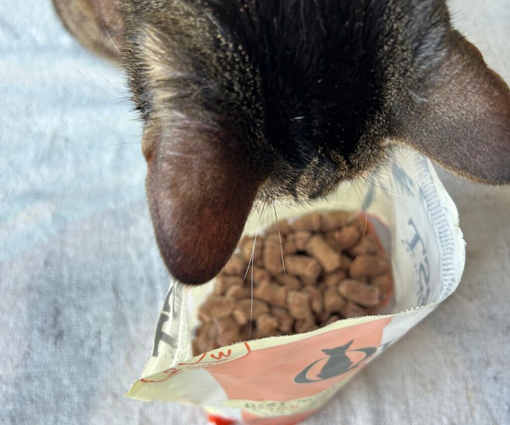 quest cat food frozen raw nuggets jess caticles