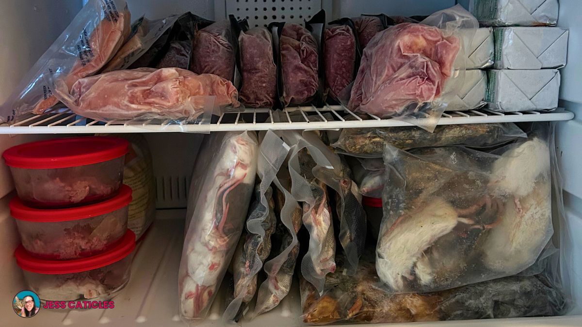 Freezer organization hack for storing raw cat food jess caticles