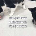 Simple raw chicken cat food recipe without bones (complete) jess caticles