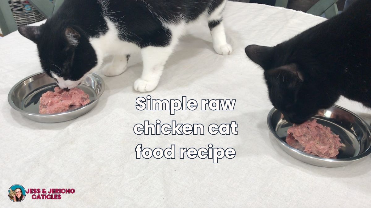 Simple raw chicken cat food recipe without bones (complete) jess caticles