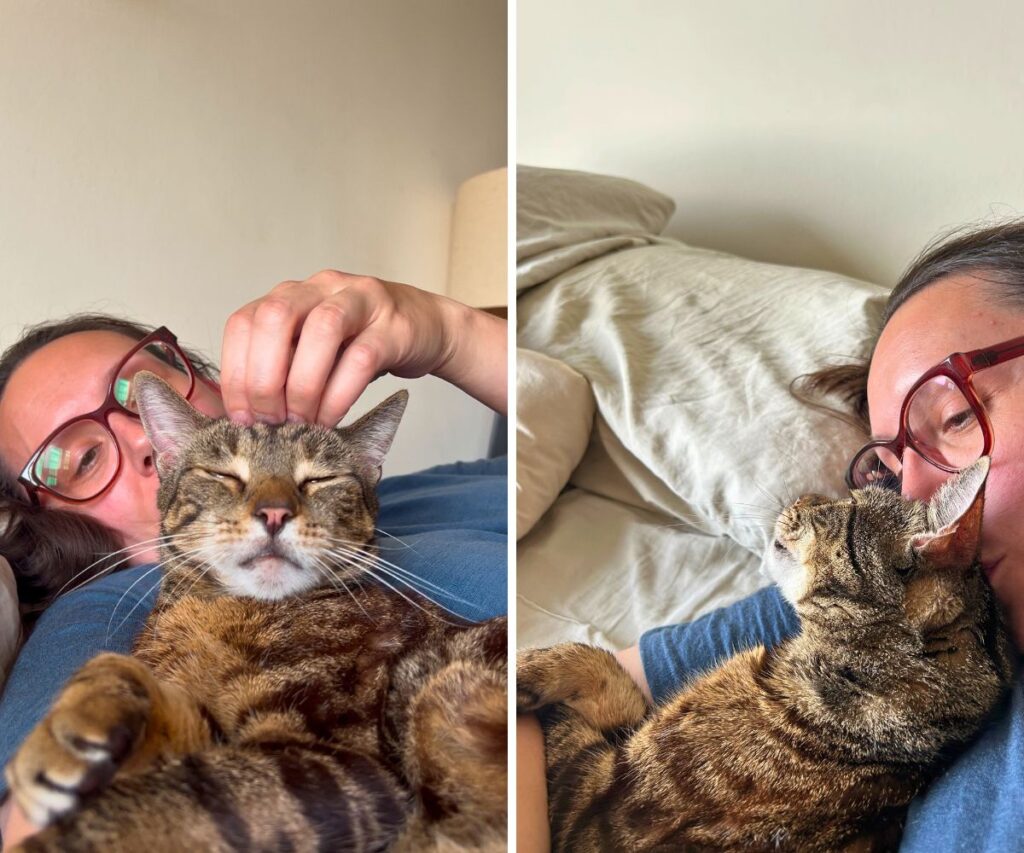jericho cuddling petting massage in bed jess caticles