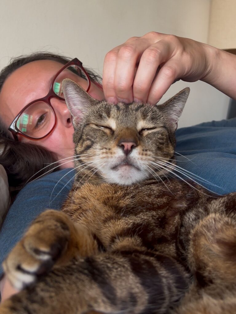 jericho snuggling for petting massage jess caticles