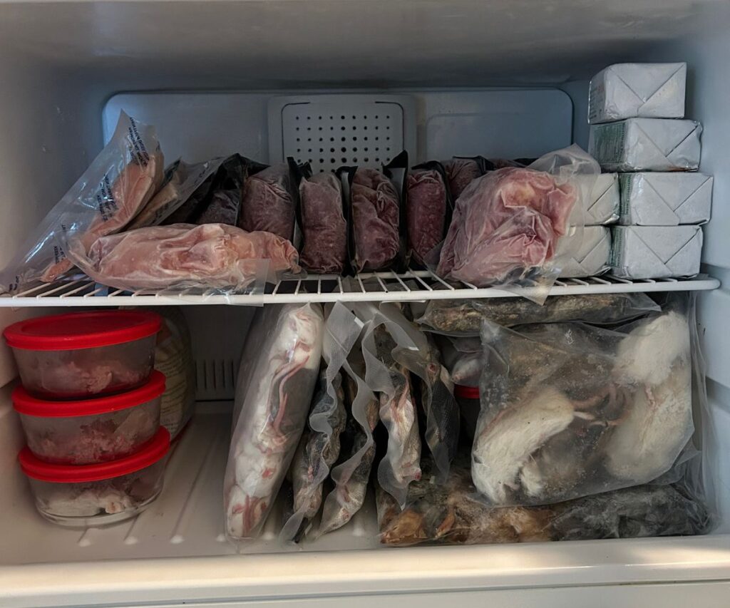 raw cat food and whole prey freezer organization hack jess caticles