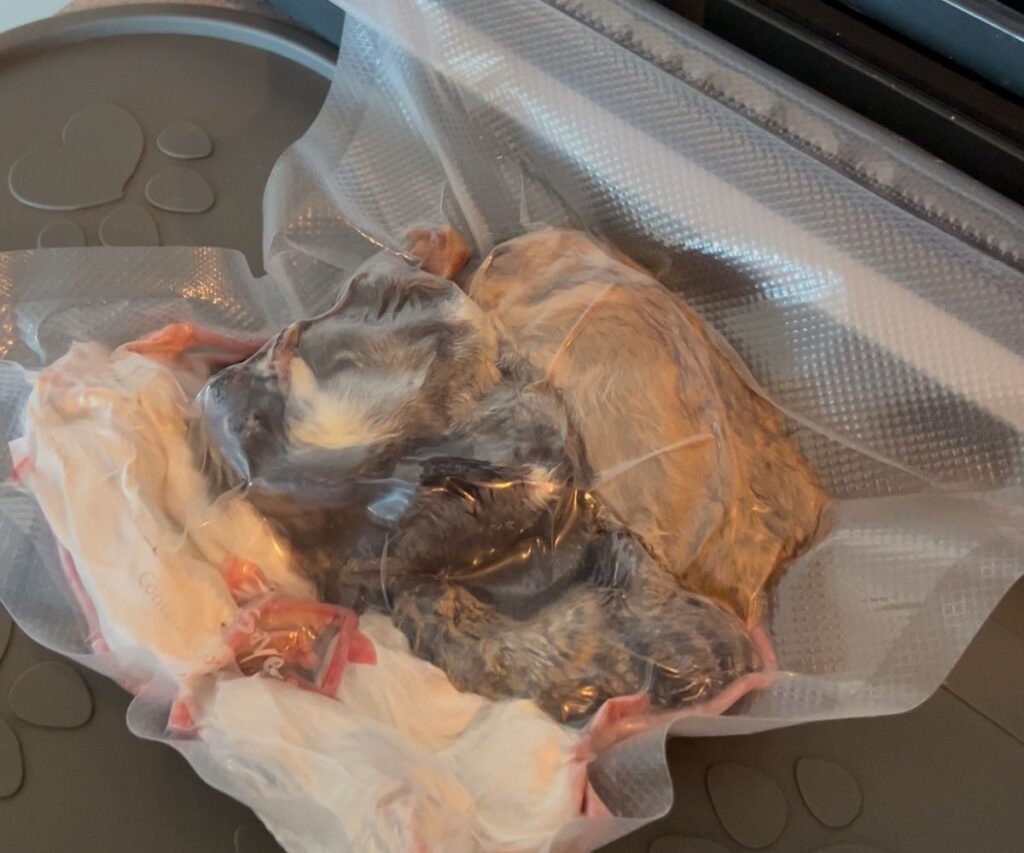 vacuum sealed whole prey cat food jess caticles