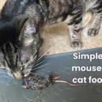 Best mouse cat food recipe (complete & balanced) jess caticles