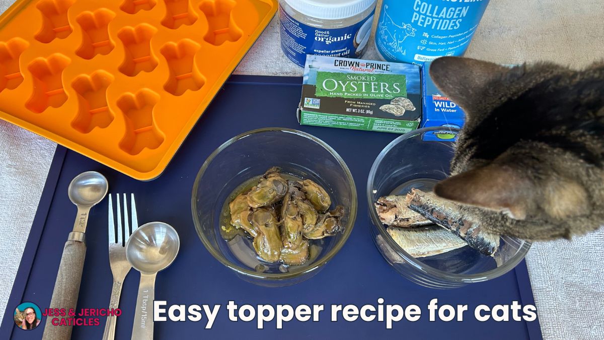 Easy topper recipe for cats healthy skin and coat fat bomb jess caticles