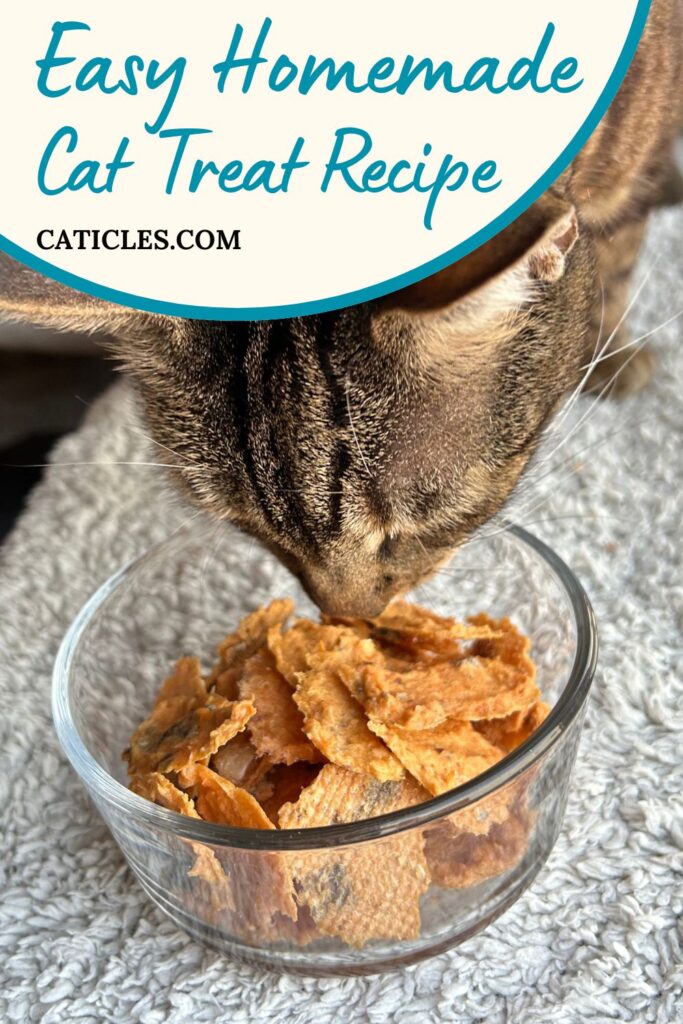 easy homemade salmon cat treat recipe jess and jericho caticles.com
