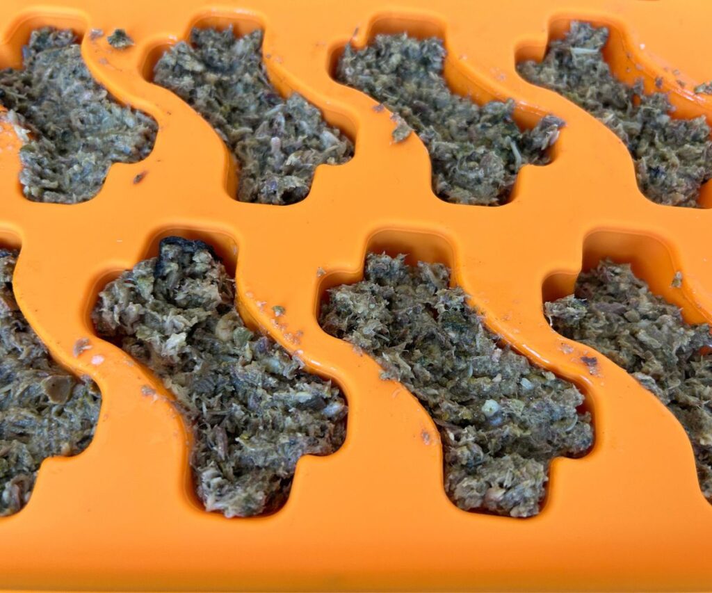 treat and topper mold homemade cat recipe jess caticles