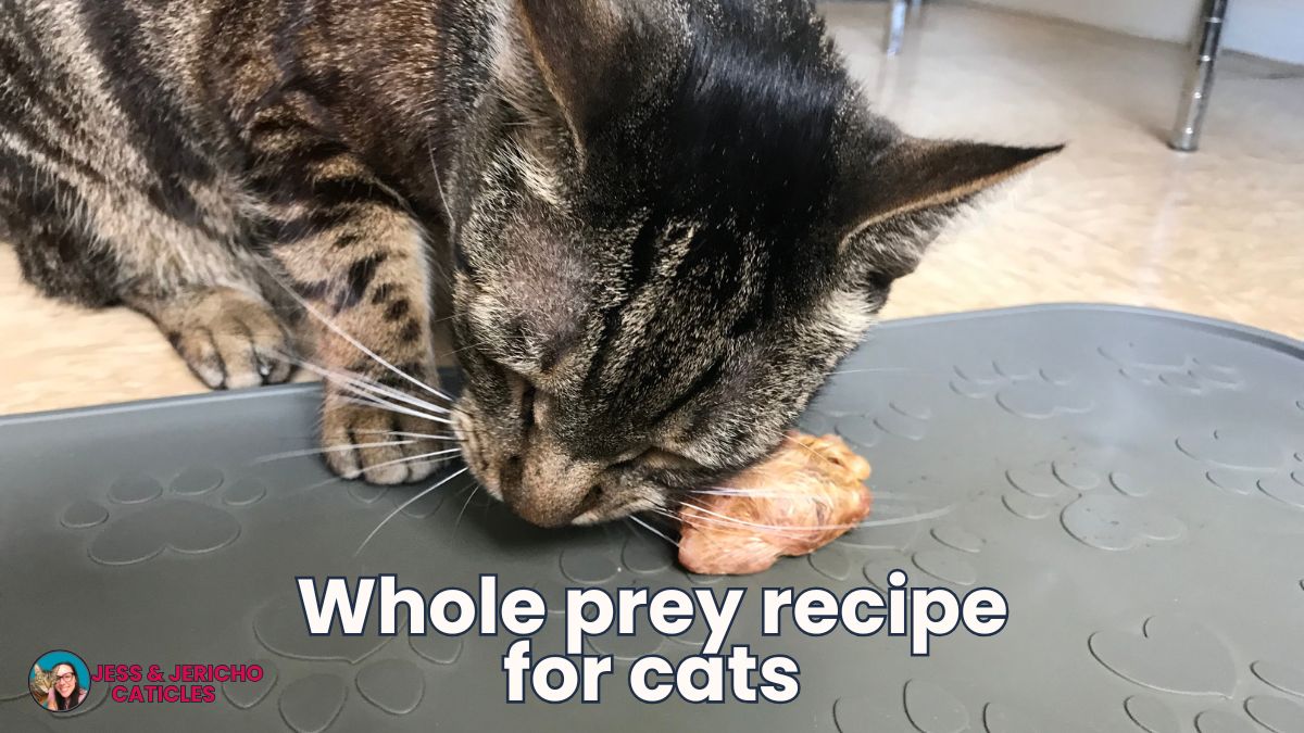Mice, quail, chick whole prey recipe for cats (mostly balanced)