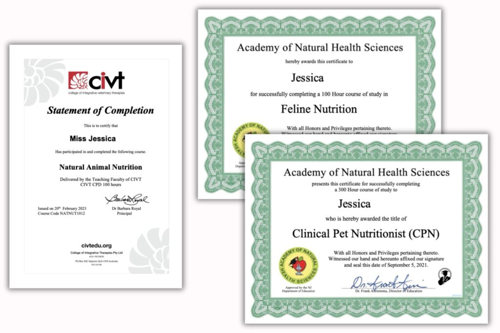 clinical pet nutritionist jess caticles credentials