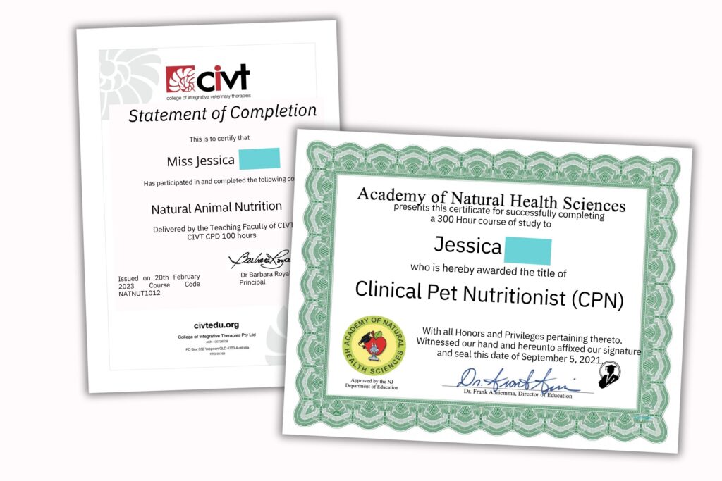 clinical pet nutritionist certifications