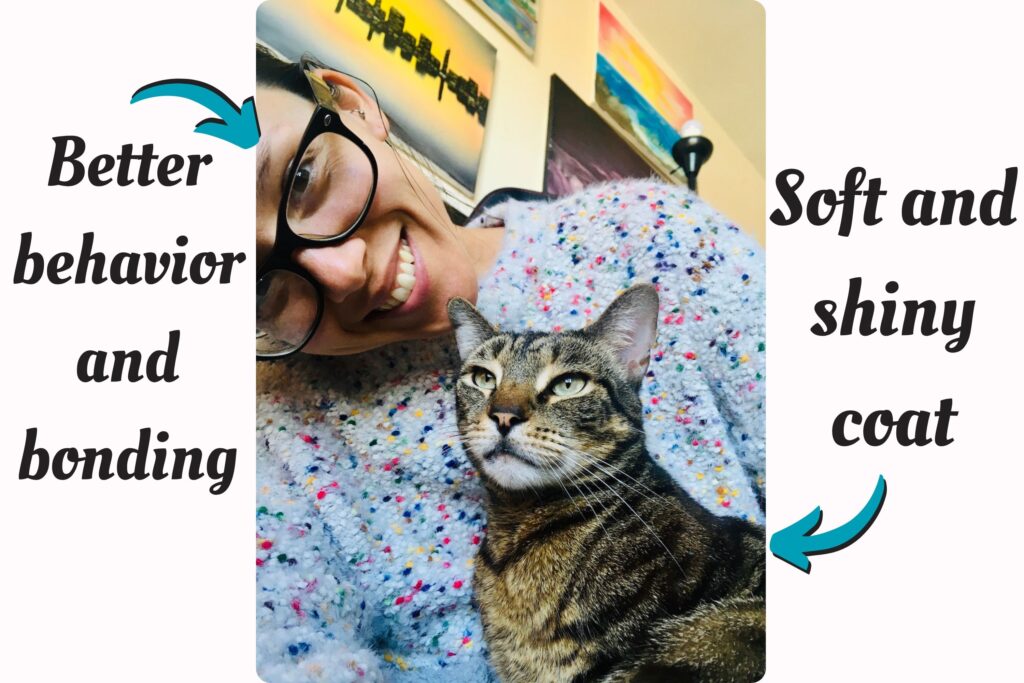 homemade benefits for cats recipes