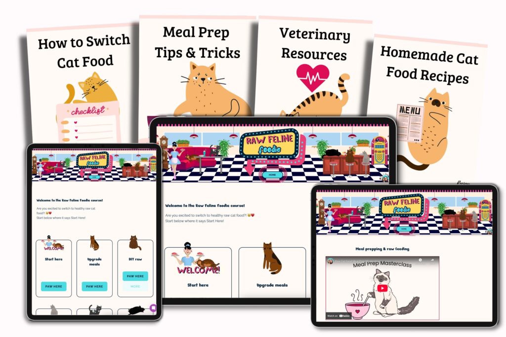 raw feline foodie bundle