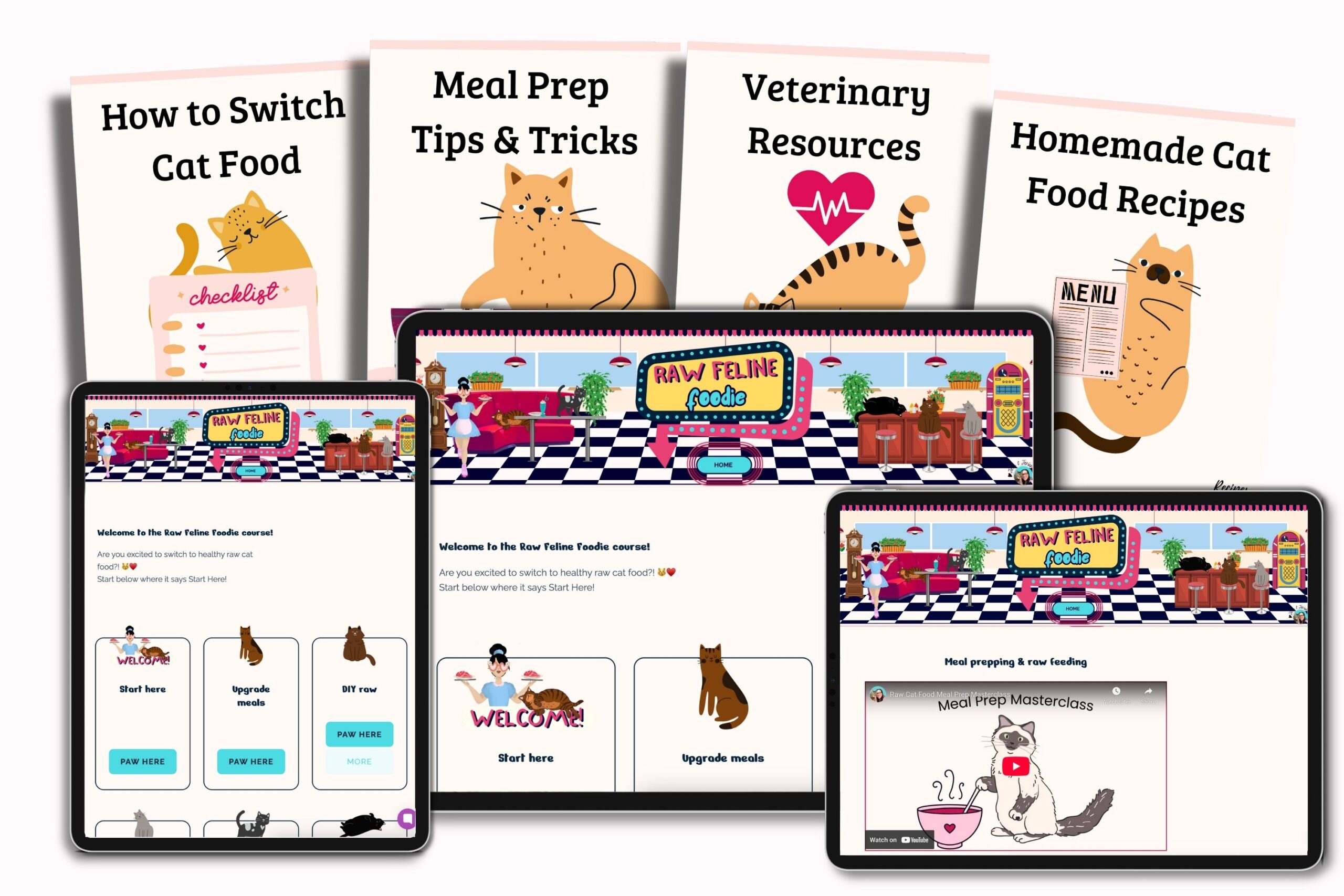 raw feline foodie bundle