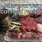 How to make your own cat food recipe jess and jericho caticles