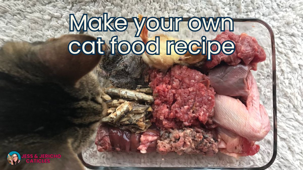 How to make your own cat food recipe jess and jericho caticles